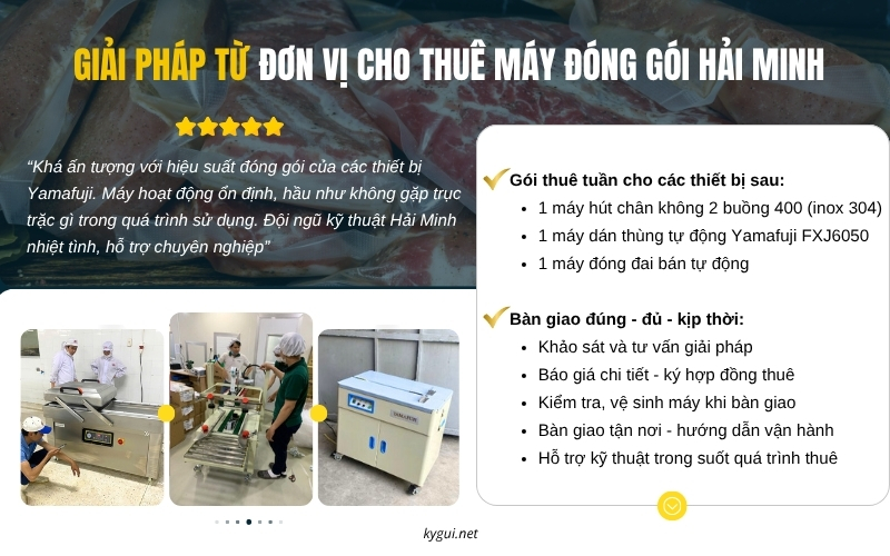 Giải pháp từ đơn vị cho thuê máy đóng gói Hải Minh