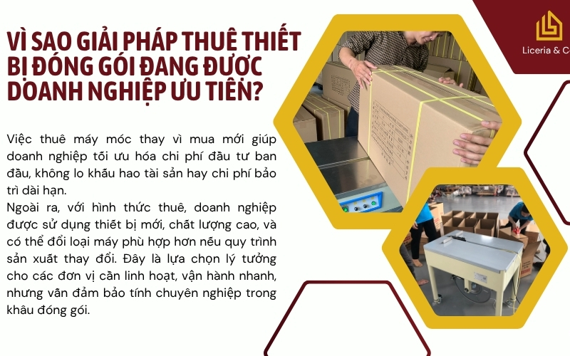 Vì sao giải pháp thuê thiết bị đóng gói đang được doanh nghiệp ưu tiên?