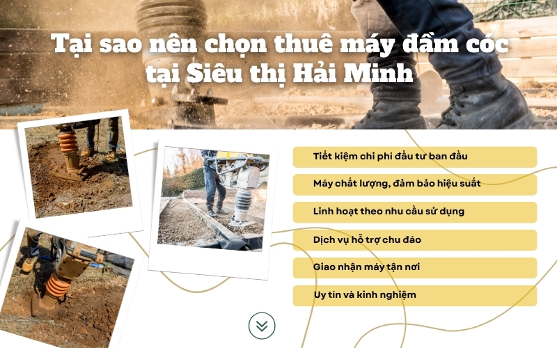 Tại sao nên chọn thuê máy đầm cóc tại Siêu thị Hải Minh