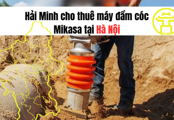 Hải Minh cho thuê máy đầm cóc Mikasa tại Hà Nội